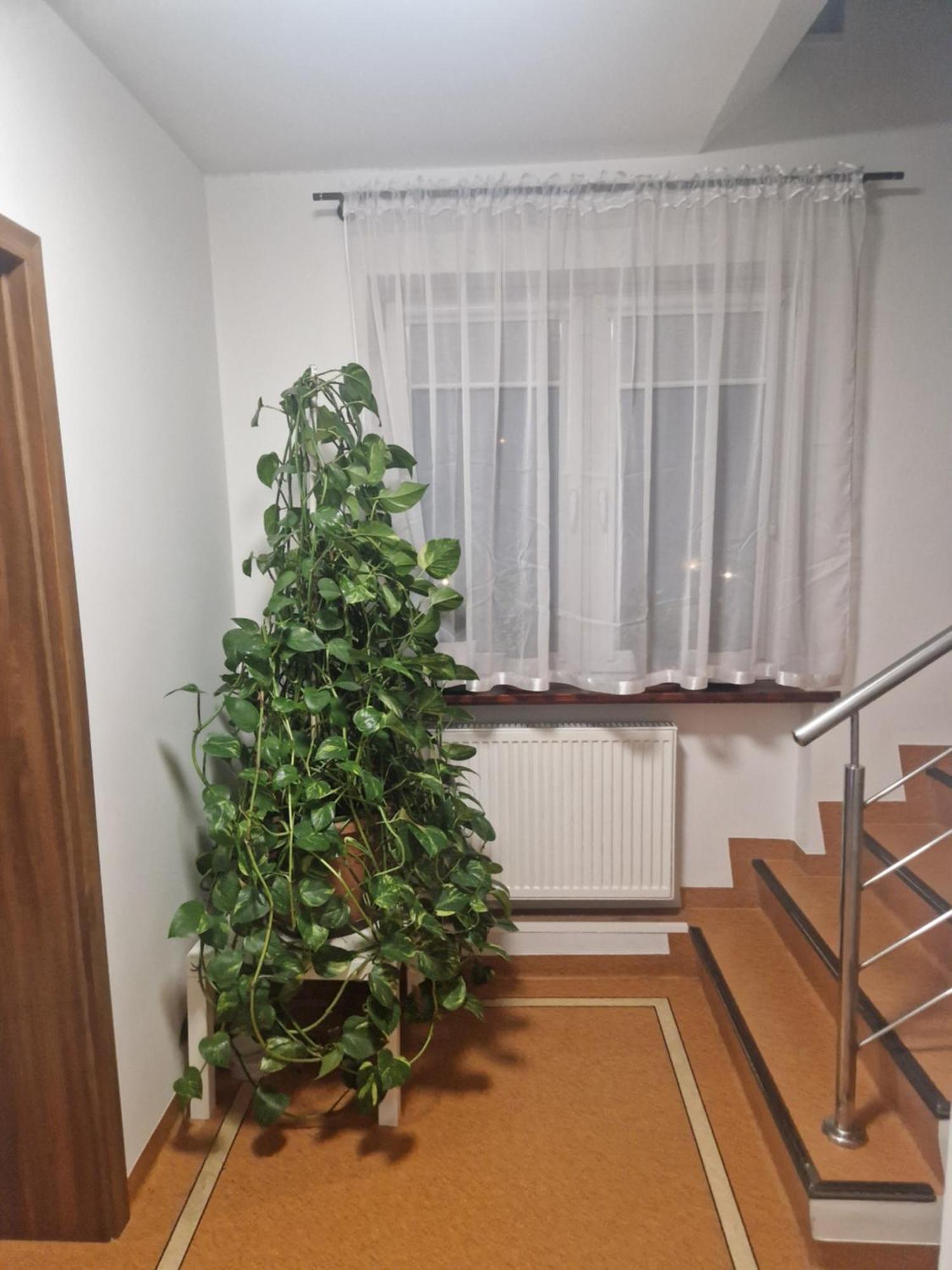 Budomas Budget Wroclaw-szymanow Freeparking Smarttv *